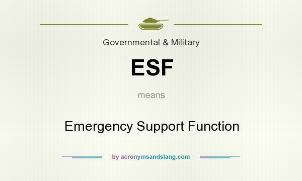 What does ESF mean? It stands for Emergency Support Function