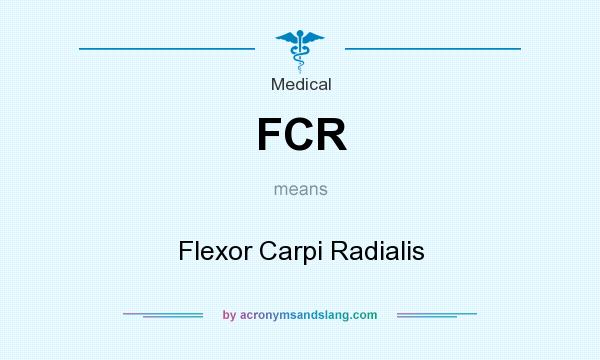 What does FCR mean? It stands for Flexor Carpi Radialis