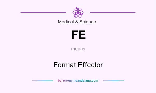 What does FE mean? It stands for Format Effector