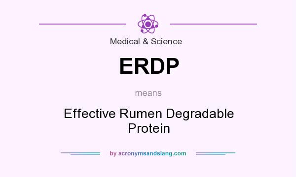 What does ERDP mean? It stands for Effective Rumen Degradable Protein