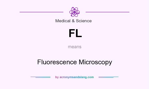What does FL mean? It stands for Fluorescence Microscopy