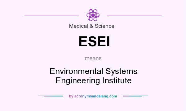 What does ESEI mean? It stands for Environmental Systems Engineering Institute