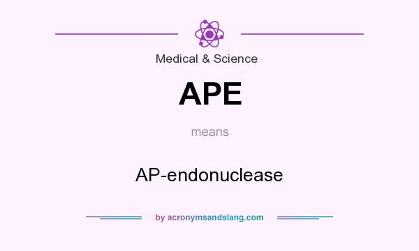 What does APE mean? It stands for AP-endonuclease