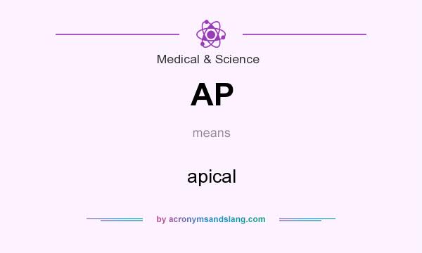 What does AP mean? It stands for apical
