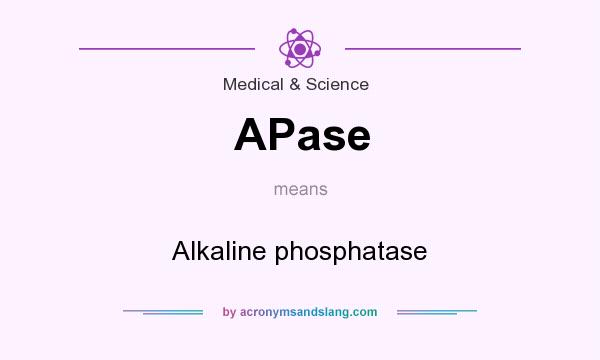 What does APase mean? It stands for Alkaline phosphatase
