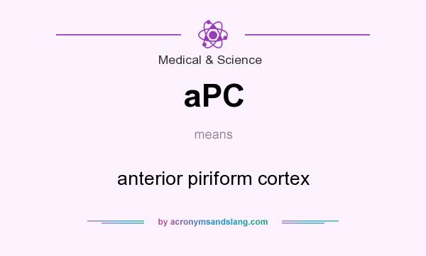 What does aPC mean? It stands for anterior piriform cortex