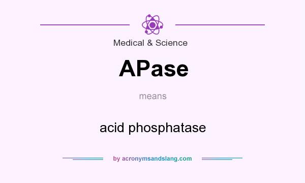 What does APase mean? It stands for acid phosphatase
