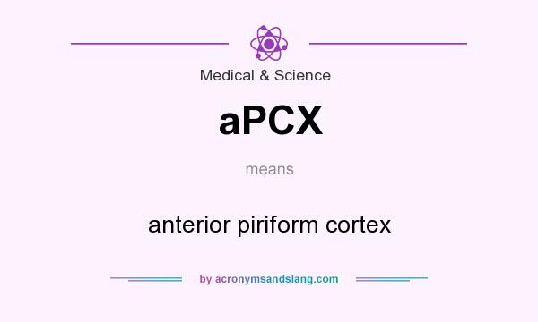 What does aPCX mean? It stands for anterior piriform cortex
