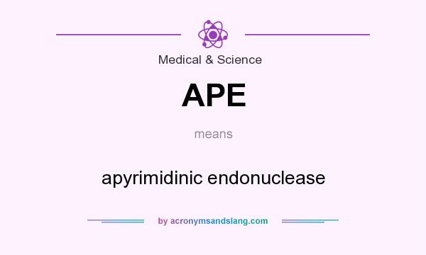 What does APE mean? It stands for apyrimidinic endonuclease