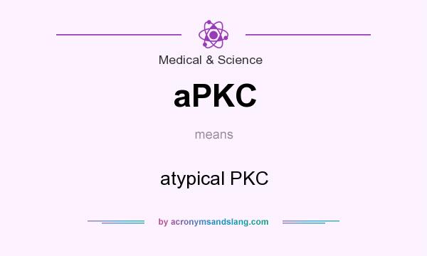 What does aPKC mean? It stands for atypical PKC