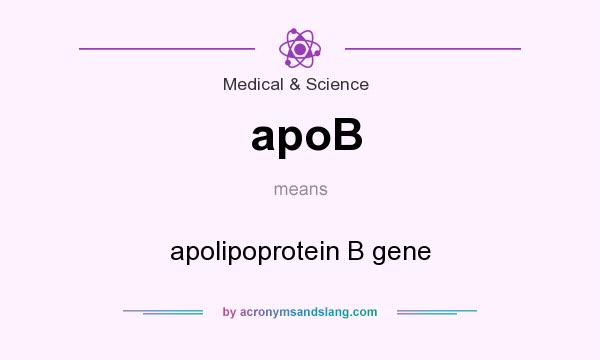 What does apoB mean? It stands for apolipoprotein B gene