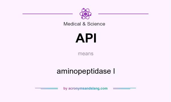 What does API mean? It stands for aminopeptidase I