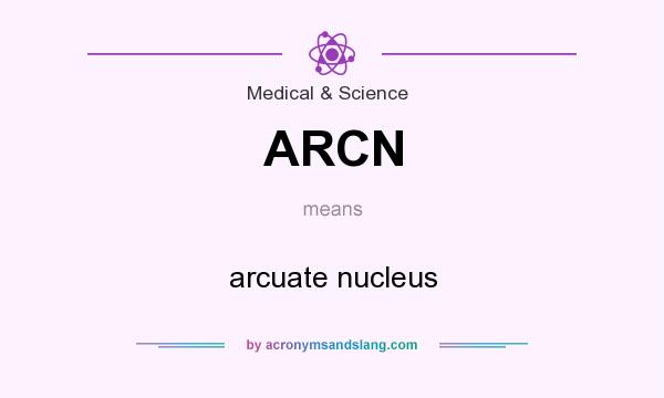 What does ARCN mean? It stands for arcuate nucleus