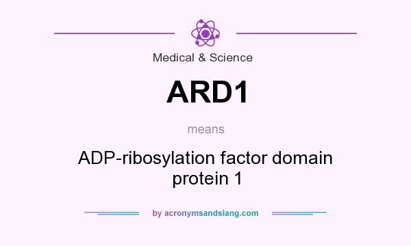 What does ARD1 mean? It stands for ADP-ribosylation factor domain protein 1