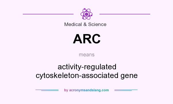 What does ARC mean? It stands for activity-regulated cytoskeleton-associated gene