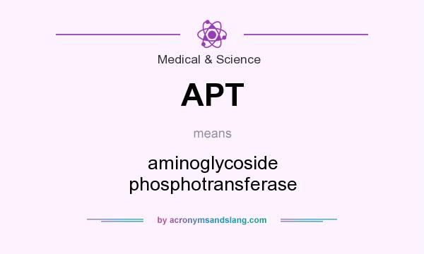 What does APT mean? It stands for aminoglycoside phosphotransferase