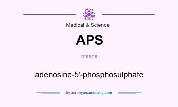 What does APS mean? It stands for adenosine-5`-phosphosulphate