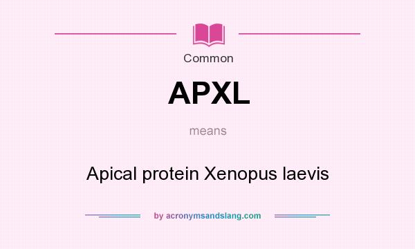 What does APXL mean? It stands for Apical protein Xenopus laevis