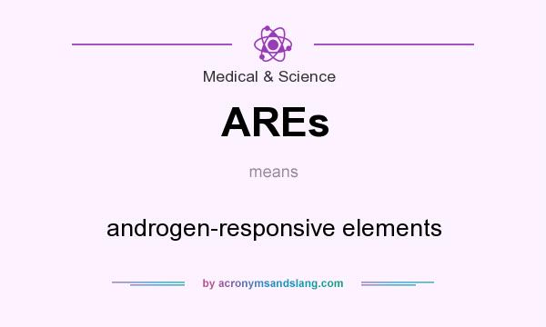 What does AREs mean? It stands for androgen-responsive elements