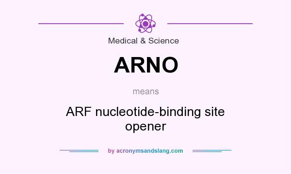 What does ARNO mean? It stands for ARF nucleotide-binding site opener