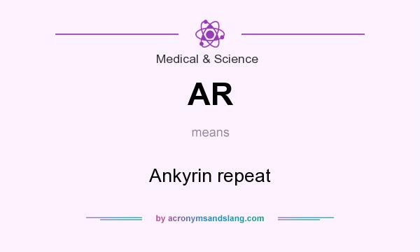 What does AR mean? It stands for Ankyrin repeat