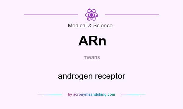 What does ARn mean? It stands for androgen receptor