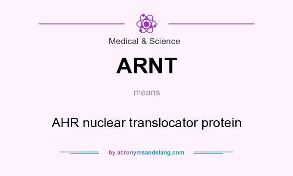 What does ARNT mean? It stands for AHR nuclear translocator protein