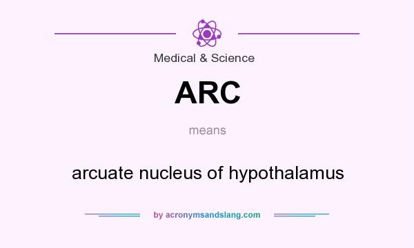 What does ARC mean? It stands for arcuate nucleus of hypothalamus