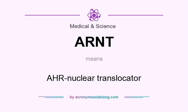 What does ARNT mean? It stands for AHR-nuclear translocator
