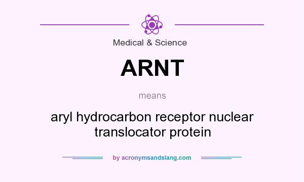 What does ARNT mean? It stands for aryl hydrocarbon receptor nuclear translocator protein