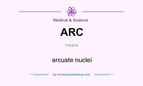 What does ARC mean? It stands for arcuate nuclei