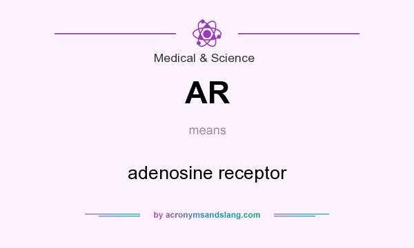 What does AR mean? It stands for adenosine receptor