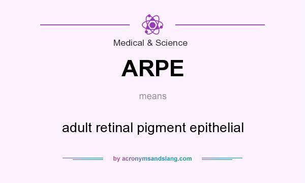 What does ARPE mean? It stands for adult retinal pigment epithelial