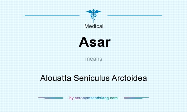 What does Asar mean? It stands for Alouatta Seniculus Arctoidea