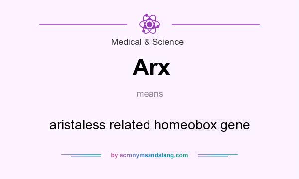 What does Arx mean? It stands for aristaless related homeobox gene