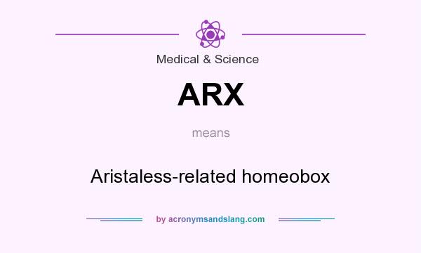 What does ARX mean? It stands for Aristaless-related homeobox