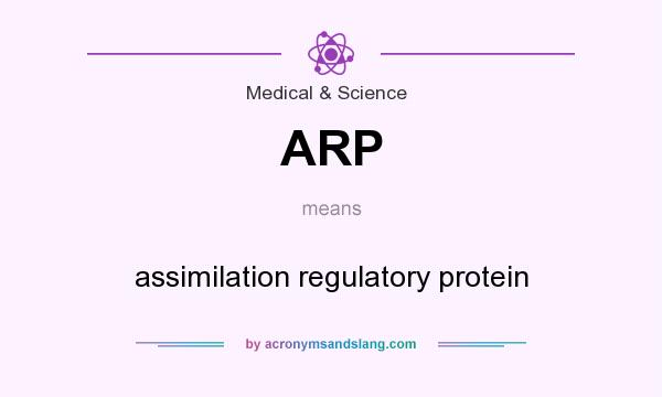 What does ARP mean? It stands for assimilation regulatory protein