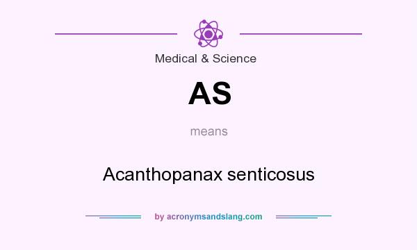 What does AS mean? It stands for Acanthopanax senticosus