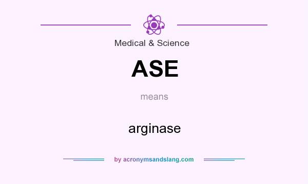 What does ASE mean? It stands for arginase
