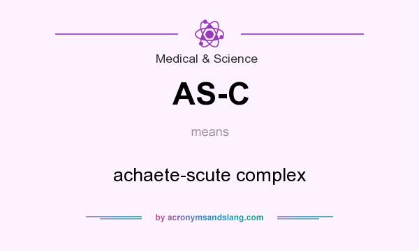 What does AS-C mean? It stands for achaete-scute complex