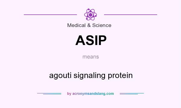What does ASIP mean? It stands for agouti signaling protein