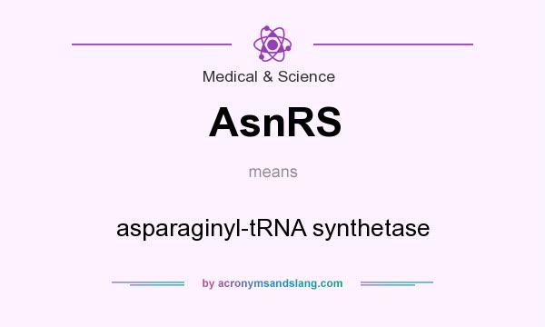 What does AsnRS mean? It stands for asparaginyl-tRNA synthetase
