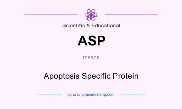 What does ASP mean? It stands for Apoptosis Specific Protein