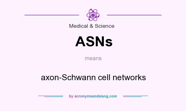 What does ASNs mean? It stands for axon-Schwann cell networks
