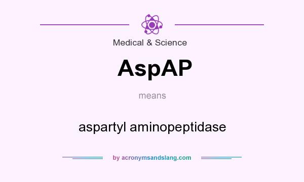 What does AspAP mean? It stands for aspartyl aminopeptidase
