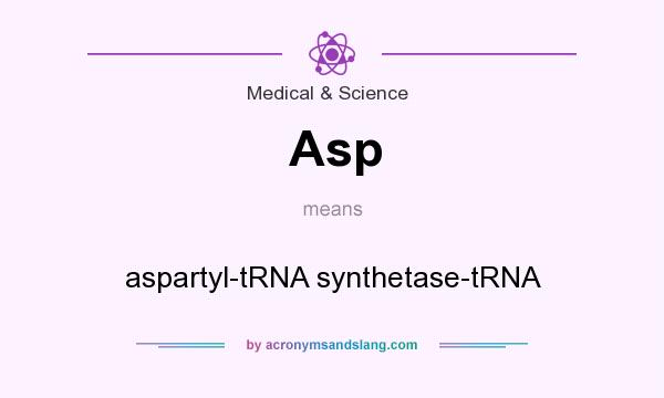 What does Asp mean? It stands for aspartyl-tRNA synthetase-tRNA