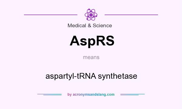 What does AspRS mean? It stands for aspartyl-tRNA synthetase