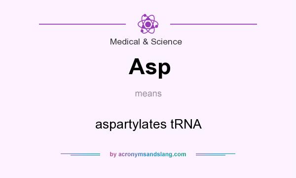What does Asp mean? It stands for aspartylates tRNA