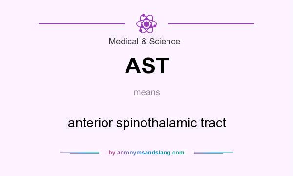What does AST mean? It stands for anterior spinothalamic tract