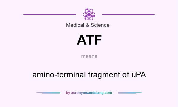 What does ATF mean? It stands for amino-terminal fragment of uPA